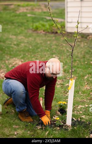 Homme plantant des fleurs autour d'un arbre dans un jardin Banque D'Images