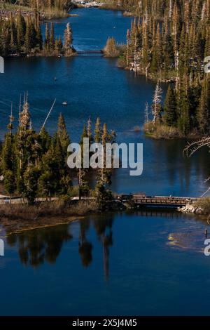 Vue sur le lac mammouth serein avec des conifères et de l'eau réfléchissante. Banque D'Images