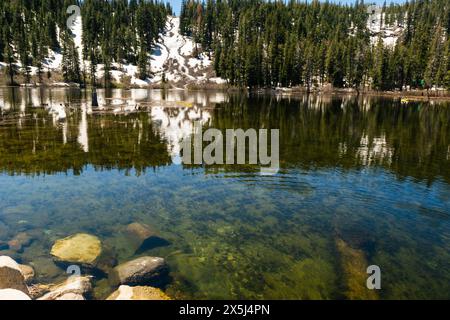 Lac alpin clair reflétant les arbres enneigés sous un ciel ensoleillé. Banque D'Images