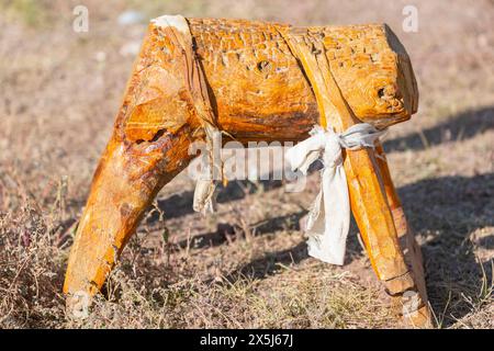 Asie, Mongolie, Province de Bayan-Oglii. Altai Eagle Festival, un tabouret en bois est utilisé comme perchoir pour un aigle doré. Banque D'Images