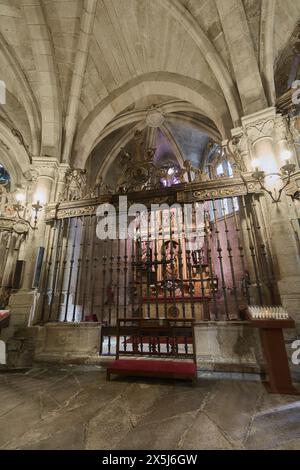 Lugo, Espagne - 10 mai 2024 : vue intérieure d'une chapelle éclairée dans la cathédrale de Lugo, présentant des arches gothiques et des détails ornementaux exquis. Banque D'Images