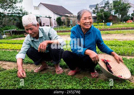 Vietnam, Hoi an. Agriculture dans la cour arrière. Une tradition commune au Vietnam. (Usage éditorial uniquement) Banque D'Images