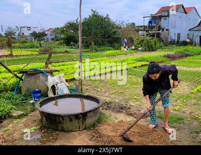 Vietnam, Hoi an. Agriculture dans la cour arrière. Une tradition commune au Vietnam. (Usage éditorial uniquement) Banque D'Images