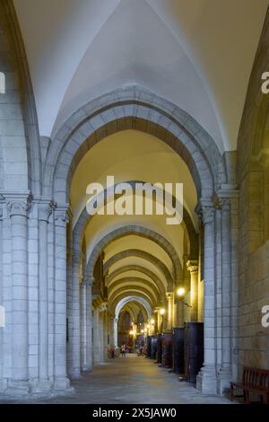 Lugo, Espagne - 10 mai 2024 : vue nocturne des arches illuminées de la cathédrale Santa Maria, mettant en valeur un mélange d'architecture ancienne et de lumière moderne Banque D'Images