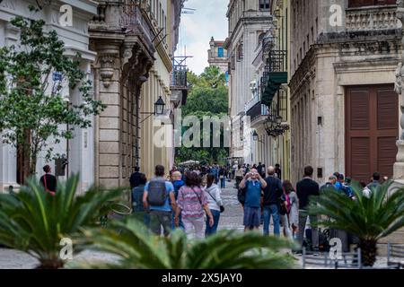 Les touristes se mêlent parmi les belles rues et l'architecture de la Havane, Cuba. (Usage éditorial uniquement) Banque D'Images