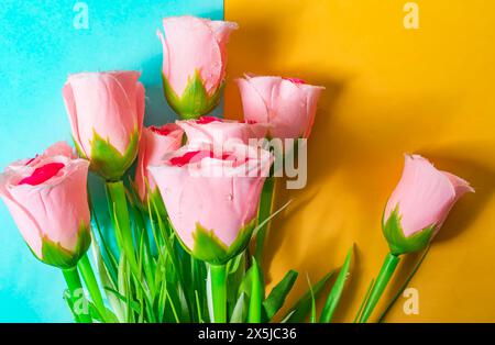 Bouquet de roses roses sur fond bleu et jaune. Gros plan Banque D'Images