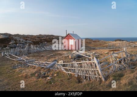 Phare de Cape Bonavista sur la péninsule Bonavista, Terre-Neuve. Banque D'Images