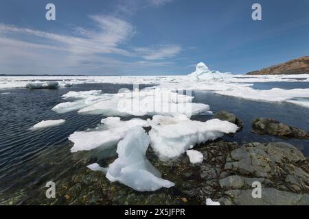 Icebergs et banquise à Twillingate, Terre-Neuve-et-Labrador, Canada. Banque D'Images