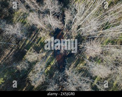 Barrage de castors sur la rivière forestière Loo au printemps, photo d'en haut d'un drone. Banque D'Images