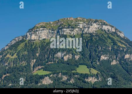 Fronalpstock montagne sur le lac de Lucerne, Morschach, Canton Schwyz, Suisse, Europe Copyright : MarkusxLange 1160-5363 Banque D'Images