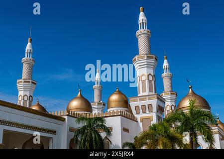 Sultan Hassanal Bolkiah Masjid, ville de Cotabato, région autonome de Bangsamoro dans le Mindanao musulman, Philippines, Asie du Sud-est, Asie Copyright : MichaelxR Banque D'Images