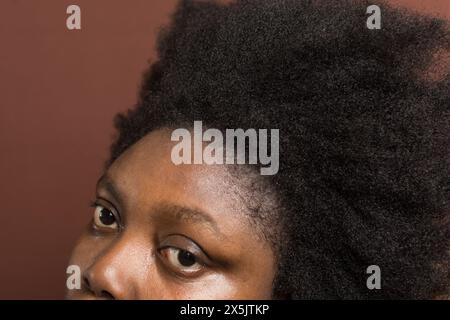 Cheveux bouclés afro noirs avec rétrécissement, cheveux de type 4c secs avec un fond brun Banque D'Images