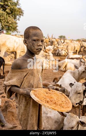 Boy wiith bouse de vache pour nettoyer les vaches, tribu Mundari, Soudan du Sud, Afrique Copyright : MichaelxRunkel 1184-11084 usage éditorial seulement Banque D'Images