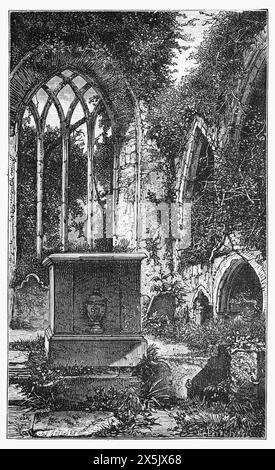 Le chœur en ruines de l'abbaye de Muckross, dans le parc national de Killarney, comté de Kerry, Irlande, tel qu'il apparaissait à la fin du XIXe siècle. Illustration en noir et blanc de notre propre pays vol III publié par Cassell, Petter, Galpin & Co à la fin du XIXe siècle. Banque D'Images