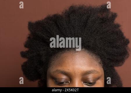 Cheveux bouclés afro noirs avec rétrécissement, cheveux de type 4c secs avec un fond brun Banque D'Images