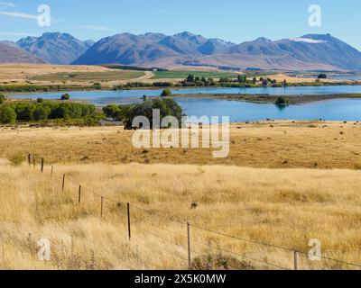 Les parcours herbeux et les collines brunes autour du lac Tekapo, région de Canterbury, Île du Sud, Nouvelle-Zélande, Pacifique Copyright : MelissaxKuhnell 1242-554 Banque D'Images