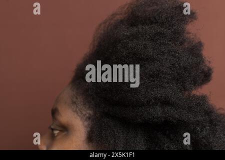 Cheveux bouclés afro noirs avec rétrécissement, cheveux de type 4c secs avec un fond brun Banque D'Images