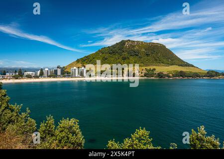 Summer Bay, Mount Manganui, Tauranga, Bay of Plenty, Île du Nord, nouvelle-Zélande, Pacifique Copyright : CasparxSchlageter 1372-127 Banque D'Images