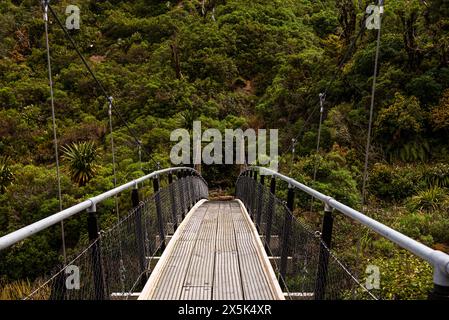 Pont suspendu entrant dans la jungle, Nouvelle-Zélande, Pacifique Copyright : CasparxSchlageter 1372-140 Banque D'Images