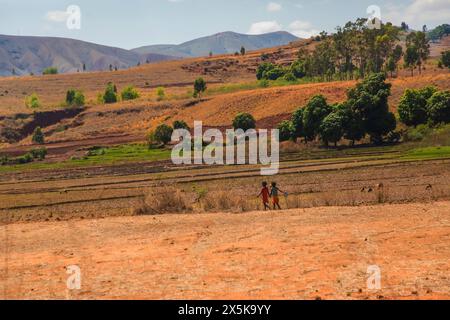 Région d'Antsirabe, Madagascar. 20 octobre 2023. Routes de Madagascar. Chemin d'Antsirabe à travers de petits villages, maisons le long de la route, bétail, rizières, Banque D'Images