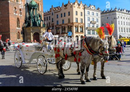 Pologne, Cracovie. Calèche tirée par des chevaux près de la place du marché principal. (Usage éditorial uniquement) Banque D'Images