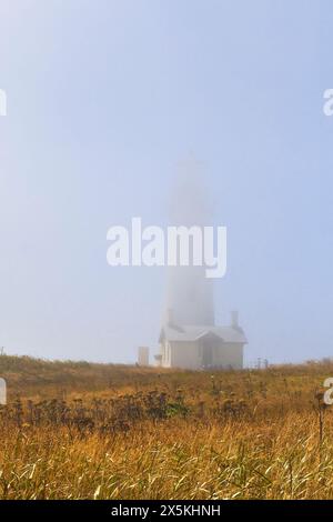 Phare de Yaquina Head sur la côte de l'Oregon aux États-Unis, établi en 1873. Banque D'Images