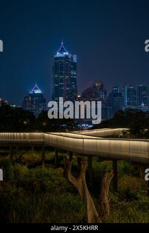 Gratte-ciel et autres bâtiments modernes derrière les allées surélevées et éclairées du luxuriant parc forestier de Benjakitti à Bangkok, Thaïlande la nuit. Banque D'Images