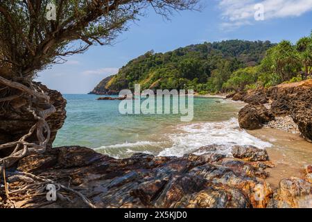 Belle vue sur la mer, les falaises et les rochers, les arbres et la nature luxuriante au parc national de Mu Ko Lanta à Koh Lanta, Thaïlande, par une journée ensoleillée. Banque D'Images