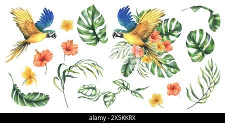 Feuilles de palmier tropical, monstera et fleurs de plumeria, hibiscus, juteux vif avec perroquet maca bleu-jaune. Aquarelle botanique dessinée à la main Banque D'Images