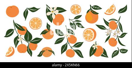 Ensemble abstrait d'agrumes oranges dessiné à la main. Illustration de Vecteur