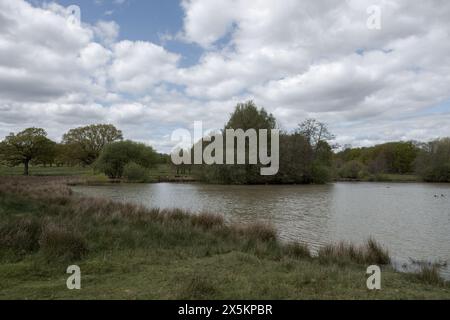 Vue sur le lac à Petworth Park West Sussex Angleterre Banque D'Images