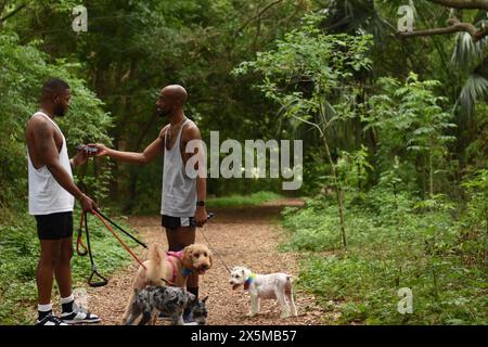 États-Unis, Louisiane, couple gay avec des chiens dans le parc Banque D'Images