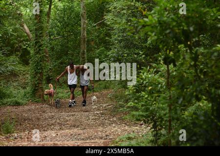 États-Unis, Louisiane, couple gay avec des chiens marchant dans le parc Banque D'Images