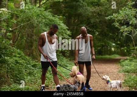 États-Unis, Louisiane, couple gay avec des chiens marchant dans le parc Banque D'Images