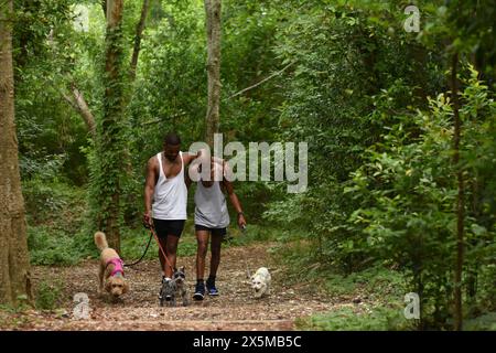 États-Unis, Louisiane, couple gay avec des chiens marchant dans le parc Banque D'Images