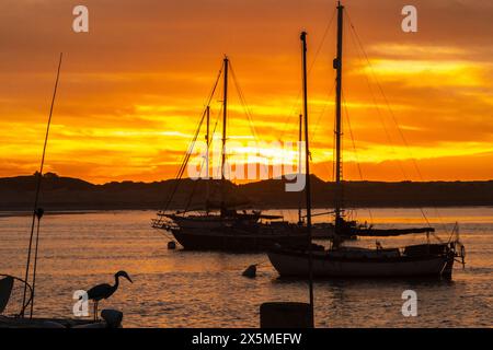 États-Unis, Californie, Morro Bay. coucher de soleil sur la marina et les voiliers. Banque D'Images