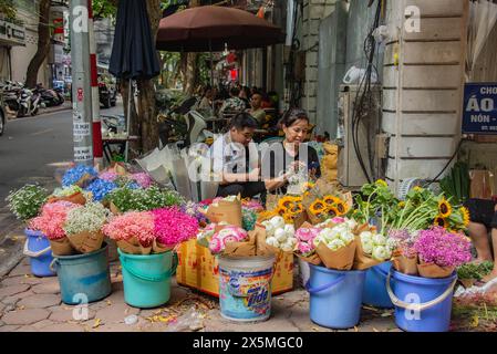 Vendeur de fleurs sur Phan Dinh Phung Street, Hanoi, Vietnam Banque D'Images