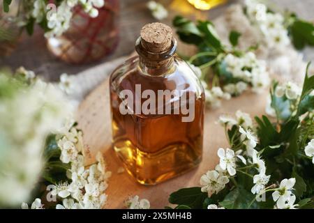 Une bouteille de teinture à base de plantes avec des fleurs fraîches d'aubépine ou de Crataegus laevigata Banque D'Images