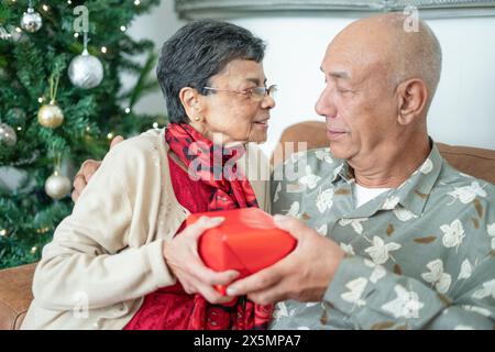 Couple senior tenant cadeau à l'arbre de Noël Banque D'Images