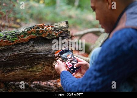 Homme prenant en photo un petit champignon poussant sur une bûche dans la forêt Banque D'Images
