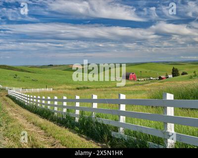 États-Unis, Idaho, Palouse. Ligne de clôture blanche menant à une ferme de campagne. (Usage éditorial uniquement) Banque D'Images