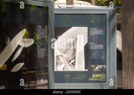 ALMERIA, ESPAGNE - 10 MAI 2024 L'exposition présente 36 photographies de l'artiste et écrivain Michael Benson, qui utilise des microscopes électroniques à balayage pour la cre Banque D'Images