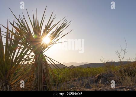 Une vue panoramique du coucher du soleil sur la plaine inondable du Rio Grande dans le parc national de Big Bend, Texas. Banque D'Images