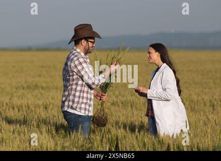 Agriculteur et femme agronmiste en manteau blanc debout dans le champ de blé au début de l'été et vérifiant la qualité des cultures Banque D'Images