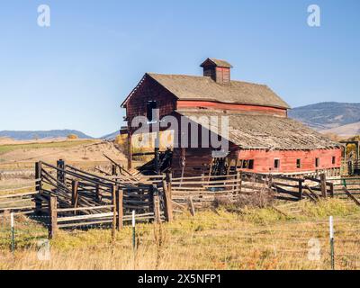 États-Unis, État de Washington, comté de Kittitas. Vieille grange rouge dans le comté de Kittitas. Banque D'Images