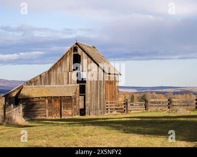 États-Unis, État de Washington, comté de Kittitas. Vieille grange en bois dans le comté de Kittitas. Banque D'Images