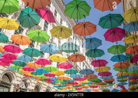 Parapluies colorés suspendus à la rue Alba Iulia, Timisoara. Photo de haute qualité Banque D'Images