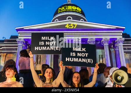 The National Gallery, Trafalgar Square, Londres, Royaume-Uni. 10 mai 2024. Une manifestation devant la National Gallery par spécisme. WTF pendant le « Big Birthday Light Show » qui se déroulait dans le cadre du 200e anniversaire de la Galerie. Crédit : Stuart Robertson/Alamy Live News. Banque D'Images