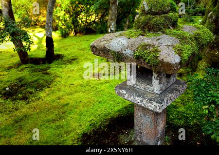 Une vieille lanterne en pierre placée dans un jardin japonais recouvert de mousse Banque D'Images