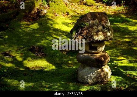 Une vieille lanterne en pierre placée dans un jardin japonais recouvert de mousse Banque D'Images